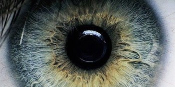 Физиономическая символика: Глаза.